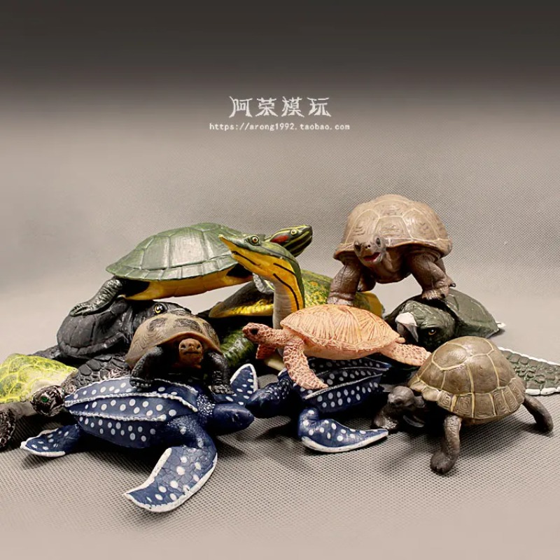 Leatherback Red-eared Turtle L - Ocean Aquarium recension och pris