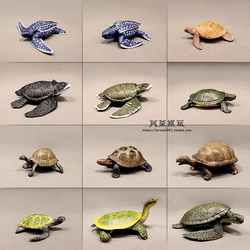 Leatherback Red-eared Turtle L - Ocean Aquarium recension och pris