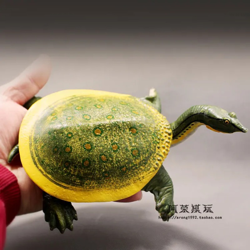Leatherback Red-eared Turtle L - Ocean Aquarium recension och pris