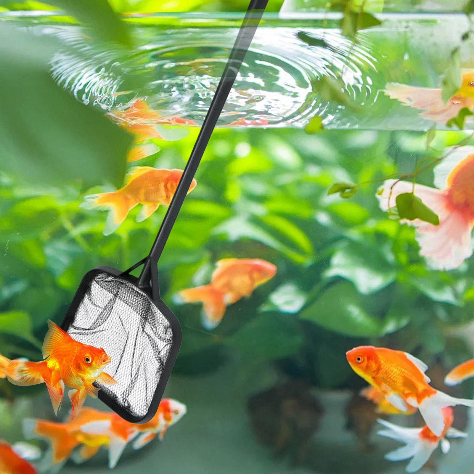 Pool Nets for Cleaning Portabl - Marine Aquarium recension och pris