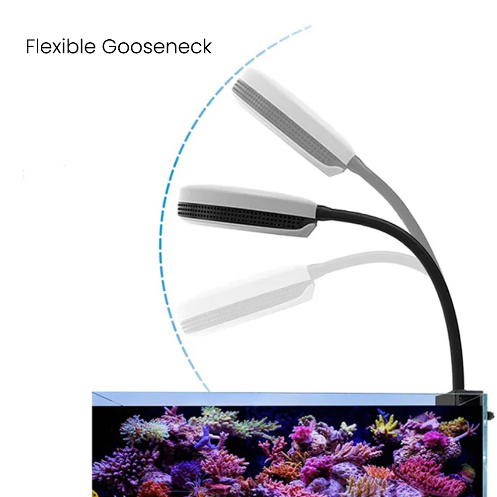 Spectra SP20 20W Aquarium LED  - Reef Lighting recension och pris