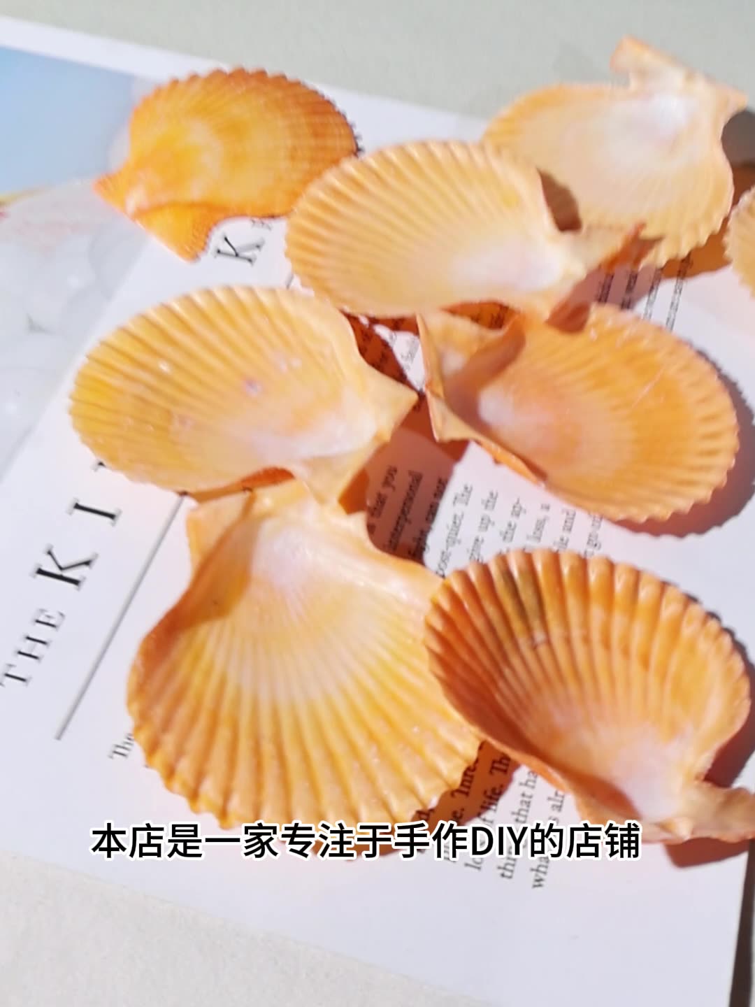 Best Yellow scallop shell fish - Marine Fish Tank recension och pris