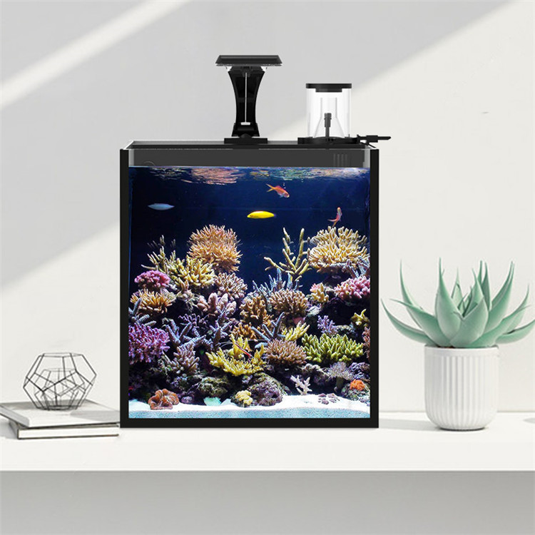 Skynuo Ultra Clear Glass Mini  - Marine Aquarium Cube recension och pris
