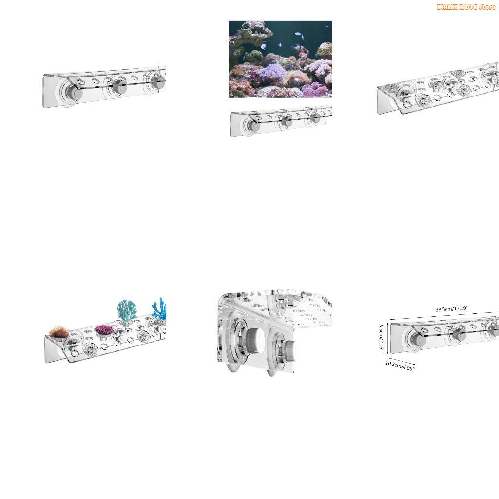 K1AE 32 Holes Coral Frag Rack  - Reef Aquarium recension och pris