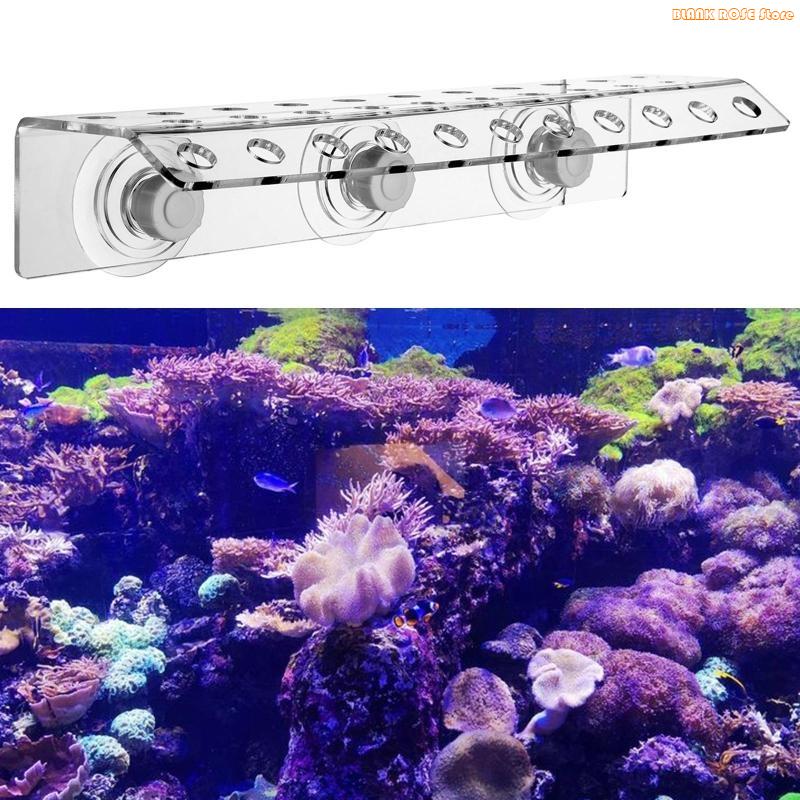 K1AE 32 Holes Coral Frag Rack  - Reef Aquarium recension och pris