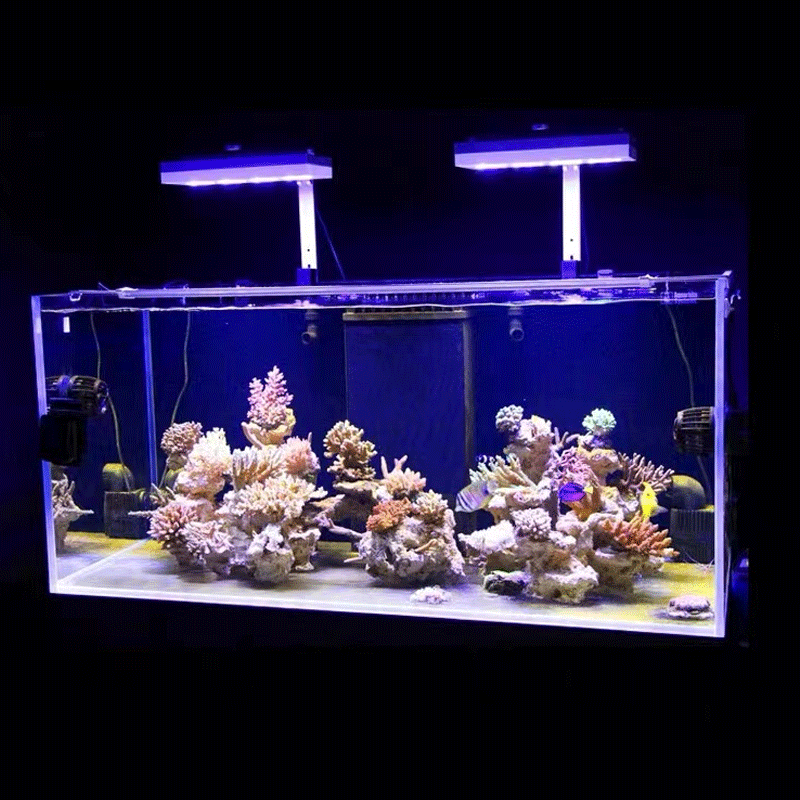 Aqua Illumination AI Hydra 32H - Reef Lighting recension och pris