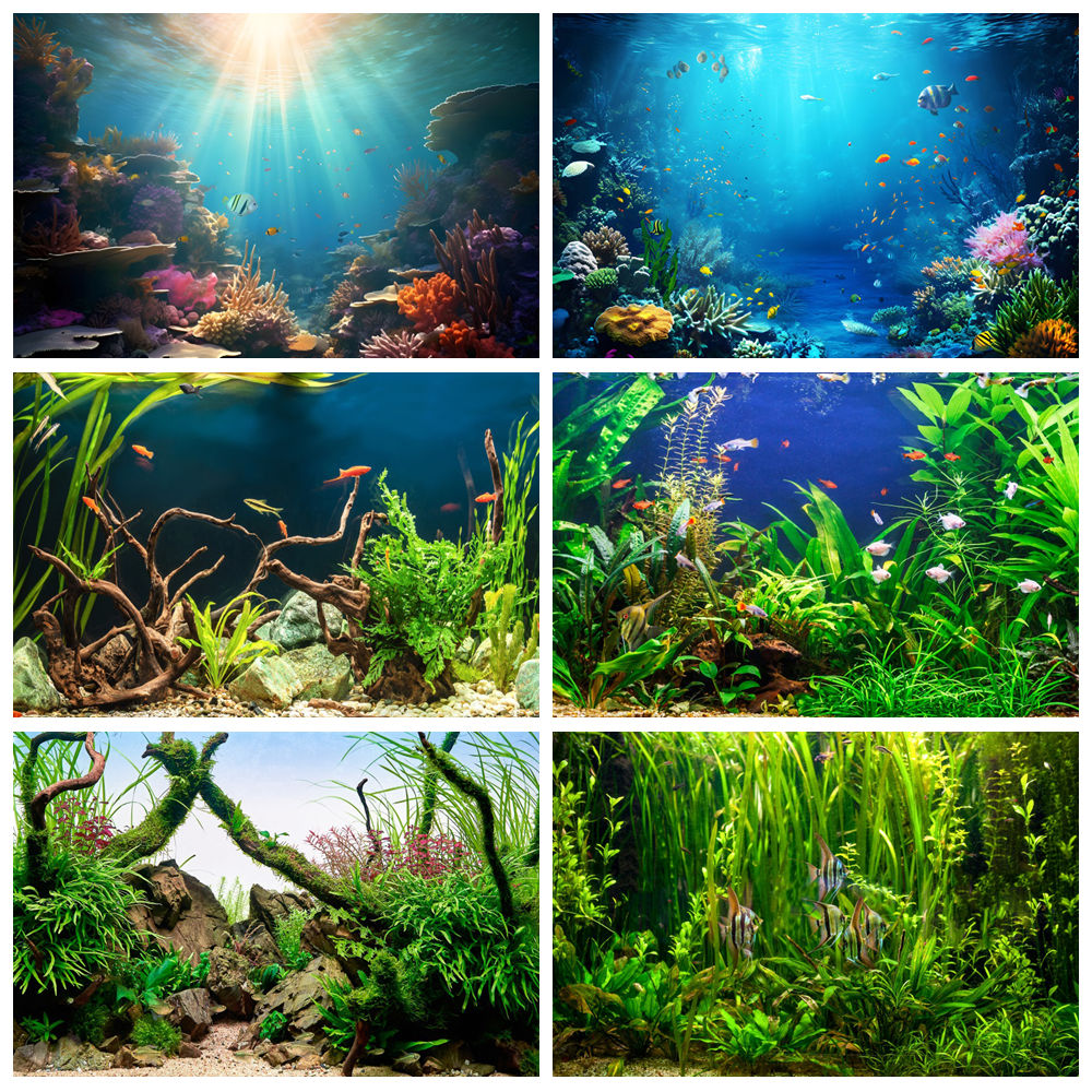 Under Sea Seabed World Photogr - Aquarium Marine World recension och pris