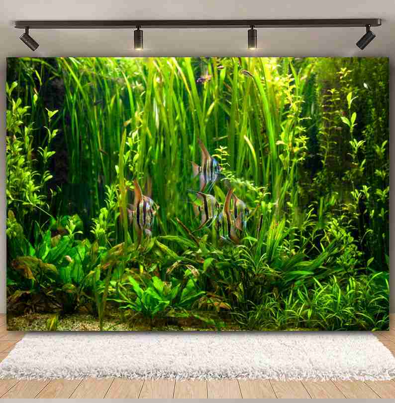 Under Sea Seabed World Photogr - Aquarium Marine World recension och pris
