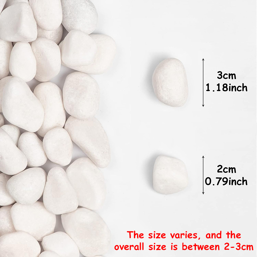200/400g White High Polished N - Marine Fish Tank recension och pris