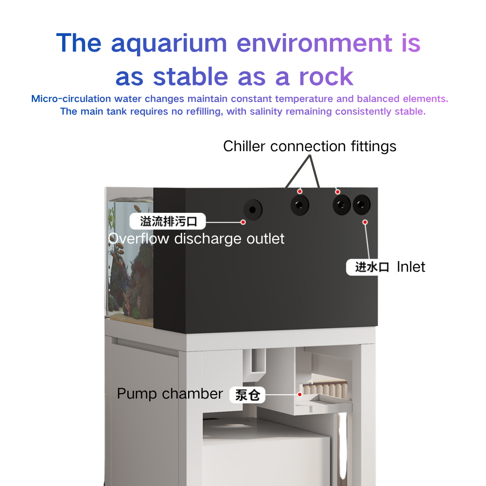 Smart Fish Tank Paopaoshark Au - Marine Aquarium Cube recension och pris