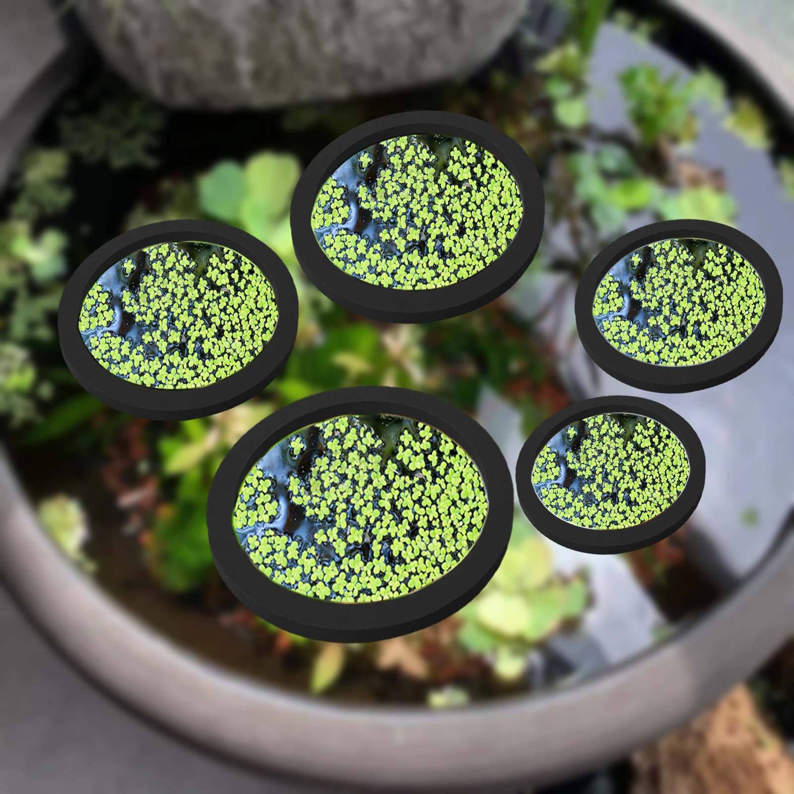 5Pcs EVA Fish Feeding Ring Aqu - Ocean Aquarium recension och pris