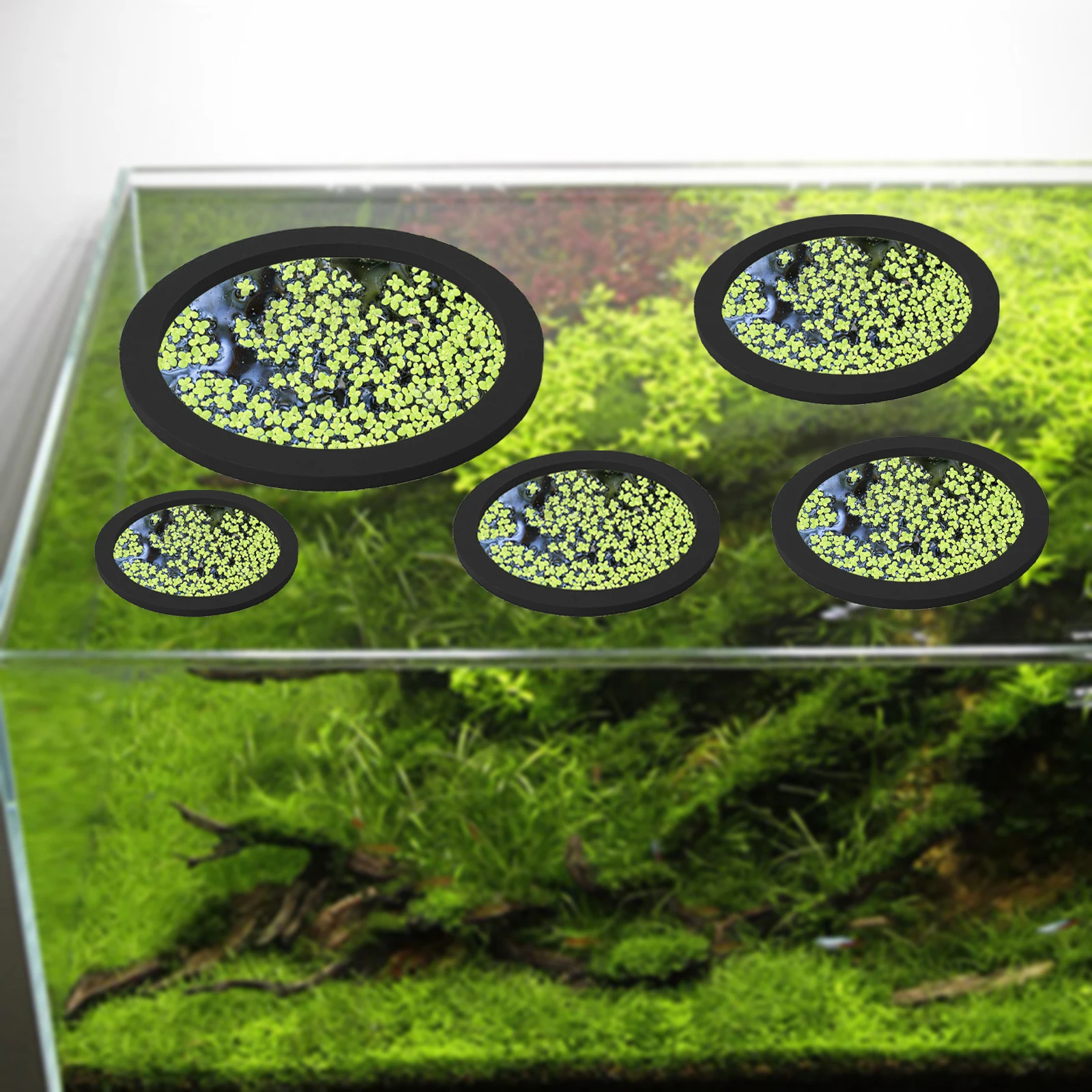 5Pcs EVA Fish Feeding Ring Aqu - Ocean Aquarium recension och pris