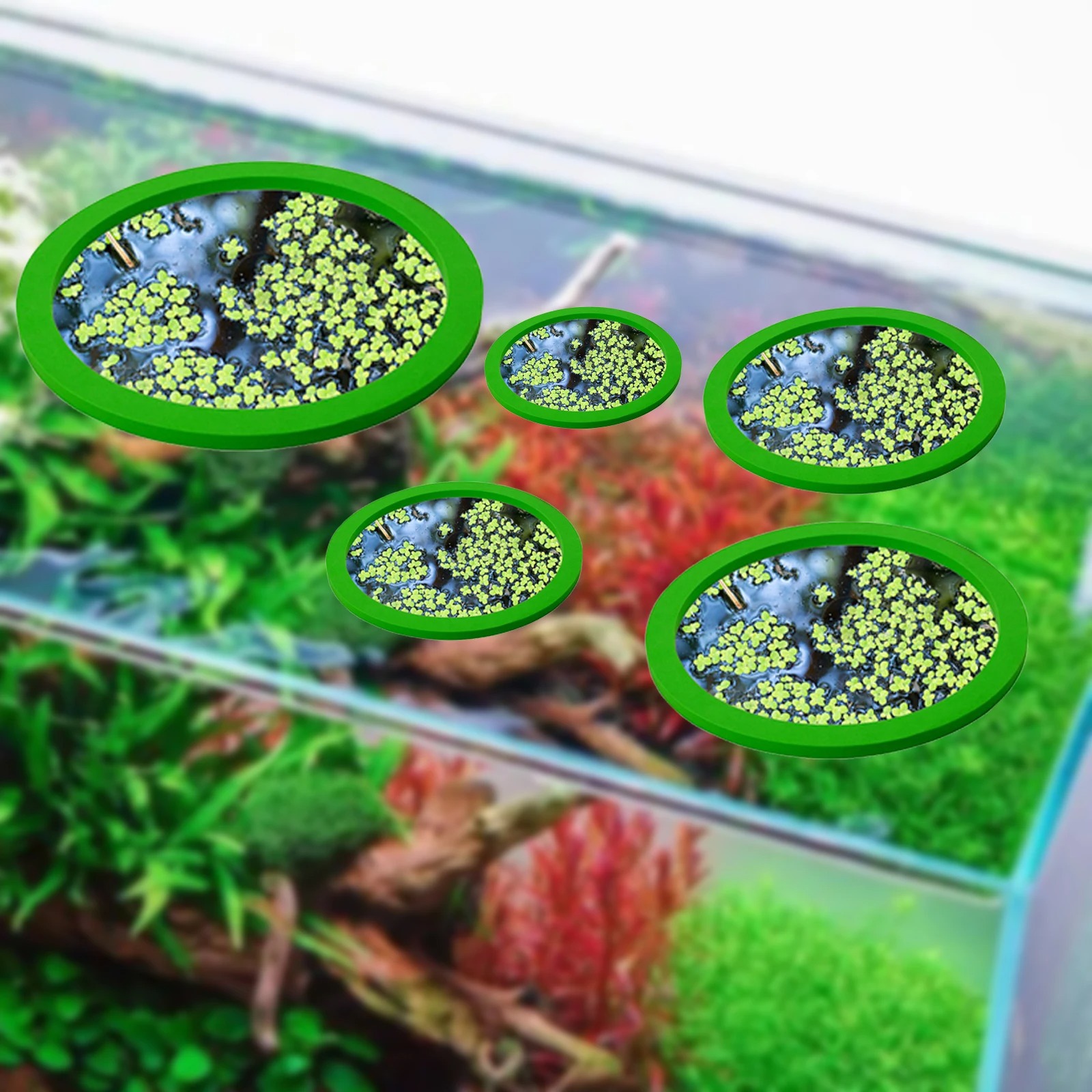 5Pcs EVA Fish Feeding Ring Aqu - Ocean Aquarium recension och pris