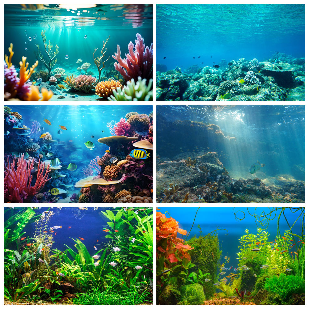 Underwater World Seabed Photog - Aquarium Marine World recension och pris