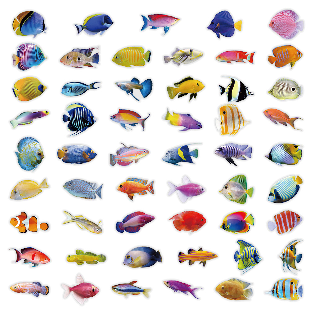 50-100PCS Transparent PET Cora - Marine Coral recension och pris