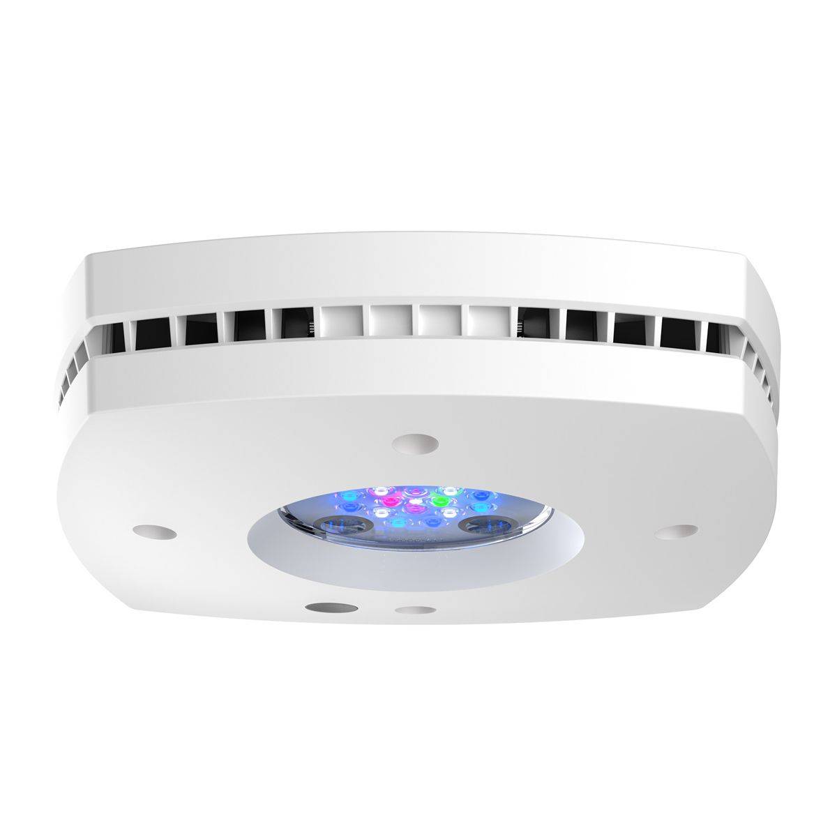 Prime 16 HD LED Reef Light, Or - Reef Lighting recension och pris
