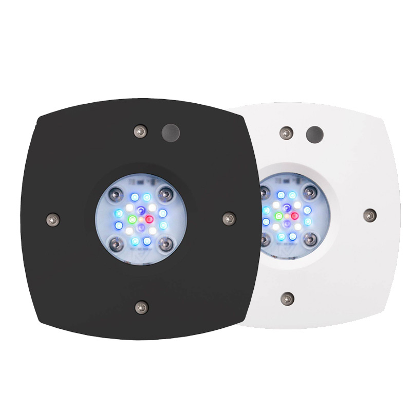 Prime 16 HD LED Reef Light, Or - Reef Lighting recension och pris