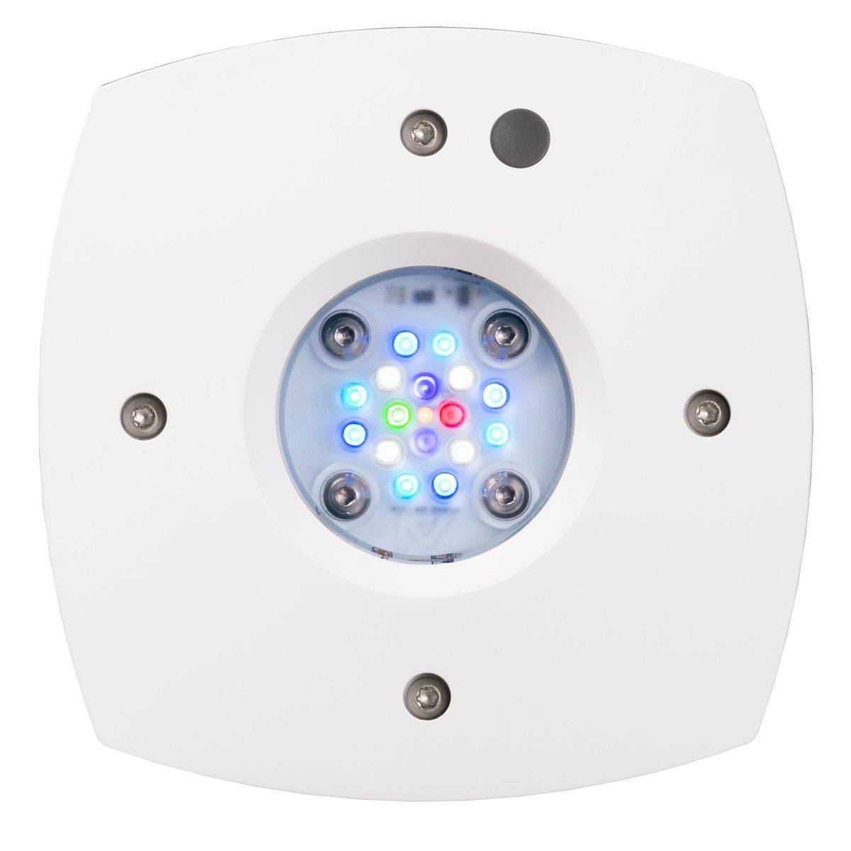 Prime 16 HD LED Reef Light, Or - Reef Lighting recension och pris