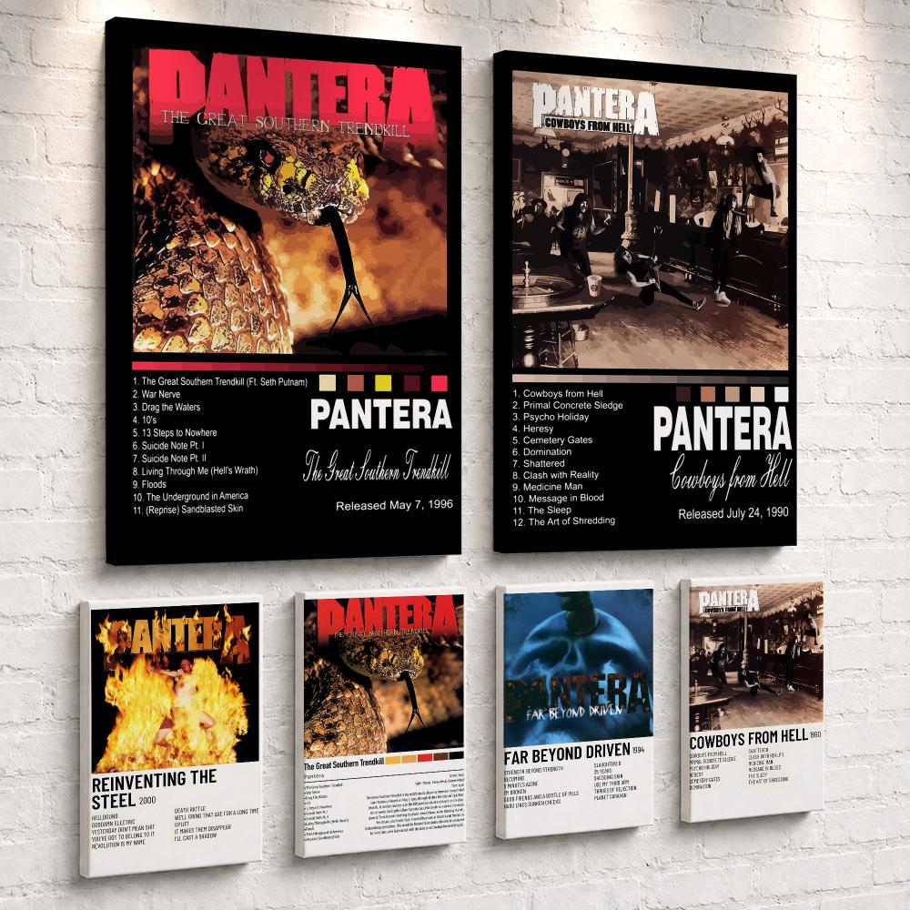 Rock Band Music Album P-Panter - Live Rock recension och pris