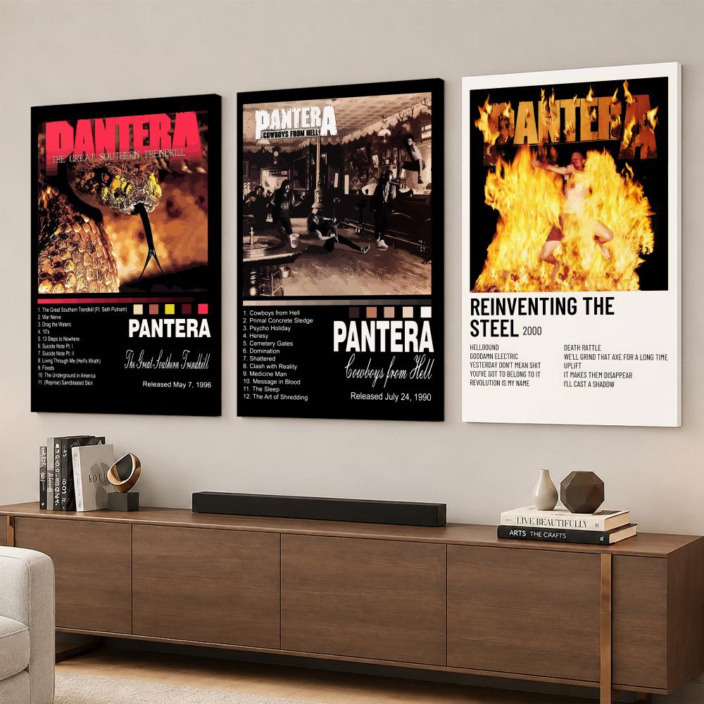 Rock Band Music Album P-Panter - Live Rock recension och pris