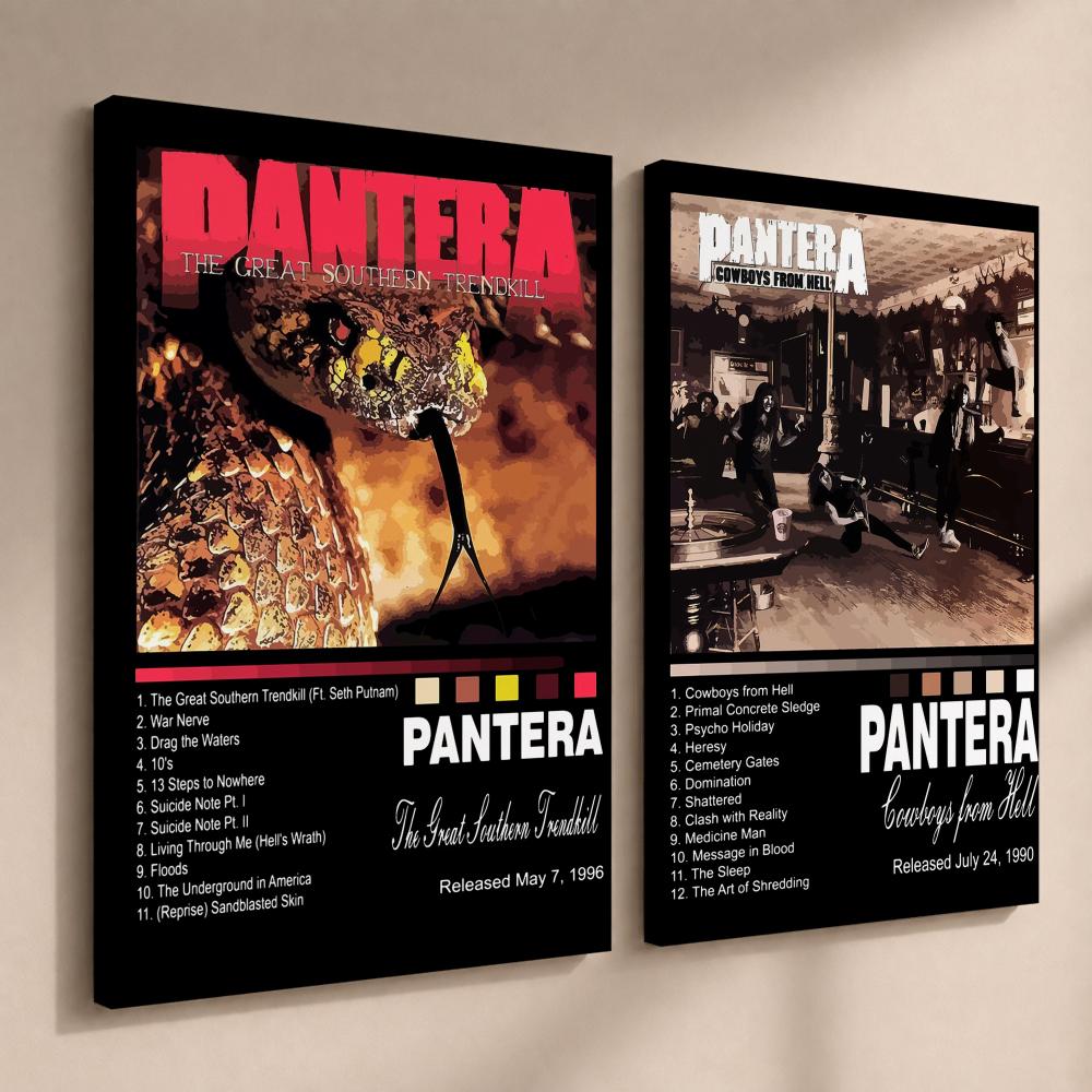 Rock Band Music Album P-Panter - Live Rock recension och pris